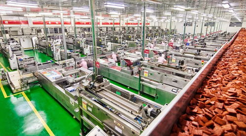 卫龙 一根辣条的价值超越，销售魔力与品牌护城河